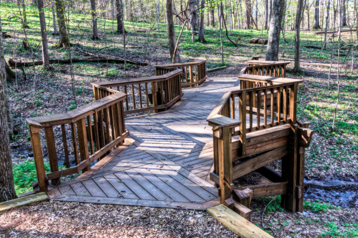 Fun Things To Do In And Around Brentwood, Tennessee