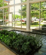 advanced-skin-center-brentwood-tn-maryland-farms-good-dermatologist-in-brentwood-tn.jpg
