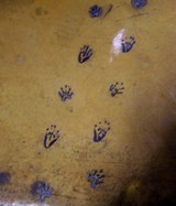 animal-tracks-for-kids.jpg