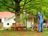 beekeeping-nashville.jpg