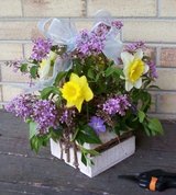fun-things-to-do-in-spring-in-Nashville-TN.jpg