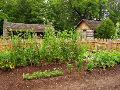 heirloom-vegetables-tennessee.jpg
