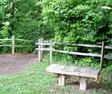 nashville-nature-hike.jpg
