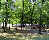 nashville-picnic-areas.jpg