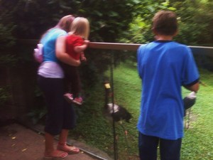 nashville-zoo-animals.jpg