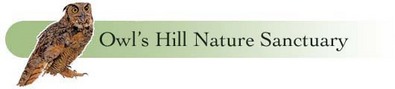 owls-hill-nature-center-brentwood-tn-best-place-to-spot-wildlife.jpg