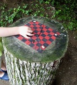 stump%20web.jpg