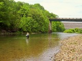 tims-ford-dam-tailwater-fishing.jpg