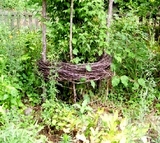 tomato-trellis.jpg