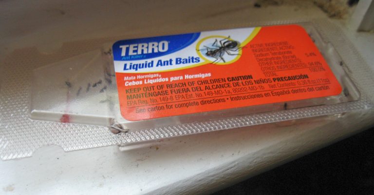 are terro ant traps safe for dogs