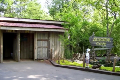 alligator-cove-nashville-zoo