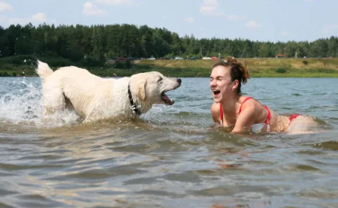 Dog-friendly Percy Priest Lake in Nashville, TN.