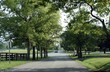 The view when exiting Percy Warner Park on Vaughn Road.