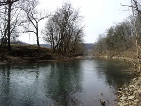 Fly fishing in Tennessee - Harpeth River