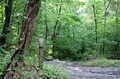 A sign indicating there's a horse trail.