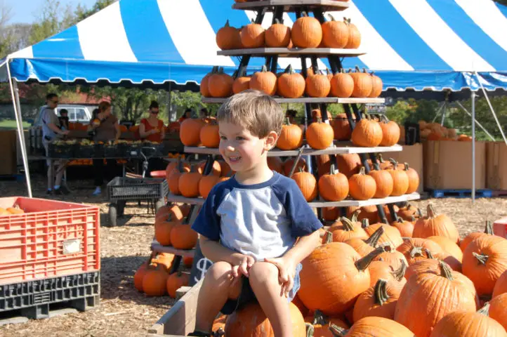kids-pumpkins-at-gentrys-farm