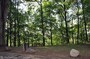 It's such a clean park... with plenty of rustic picnic areas.