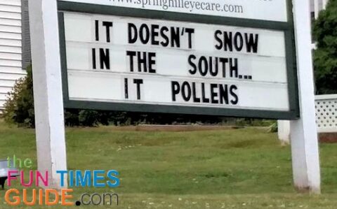 seasonal-pollen-in-the-south