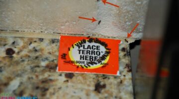 Before we started using the Terro ant traps, there were ants all over our kitchen counter, backsplash, and stove! photo by Lynnette at TheFunTimesGuide.com Before we started using the Terro ant traps, there were ants all over our kitchen counter, backsplash, and stove!