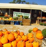 where-to-buy-pumpkins.jpg