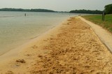 why-is-percy-priest-lake-shore-receding-from-erosion-in-2008.jpg