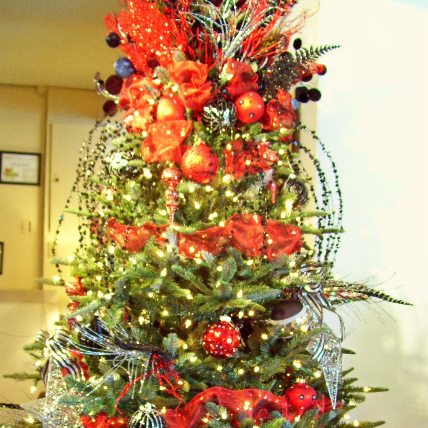 Brentwood TN Christmas Tree Tour | The Brentwood TN Guide